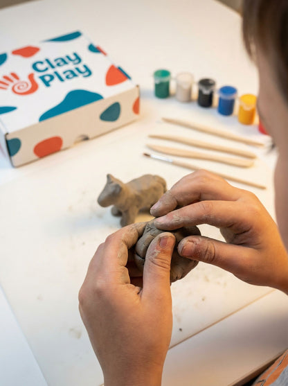 ClayPlay™  Комплект с глина и боички